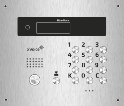 xVoice EU-139 Вызывная панель BR-ТМ-WP